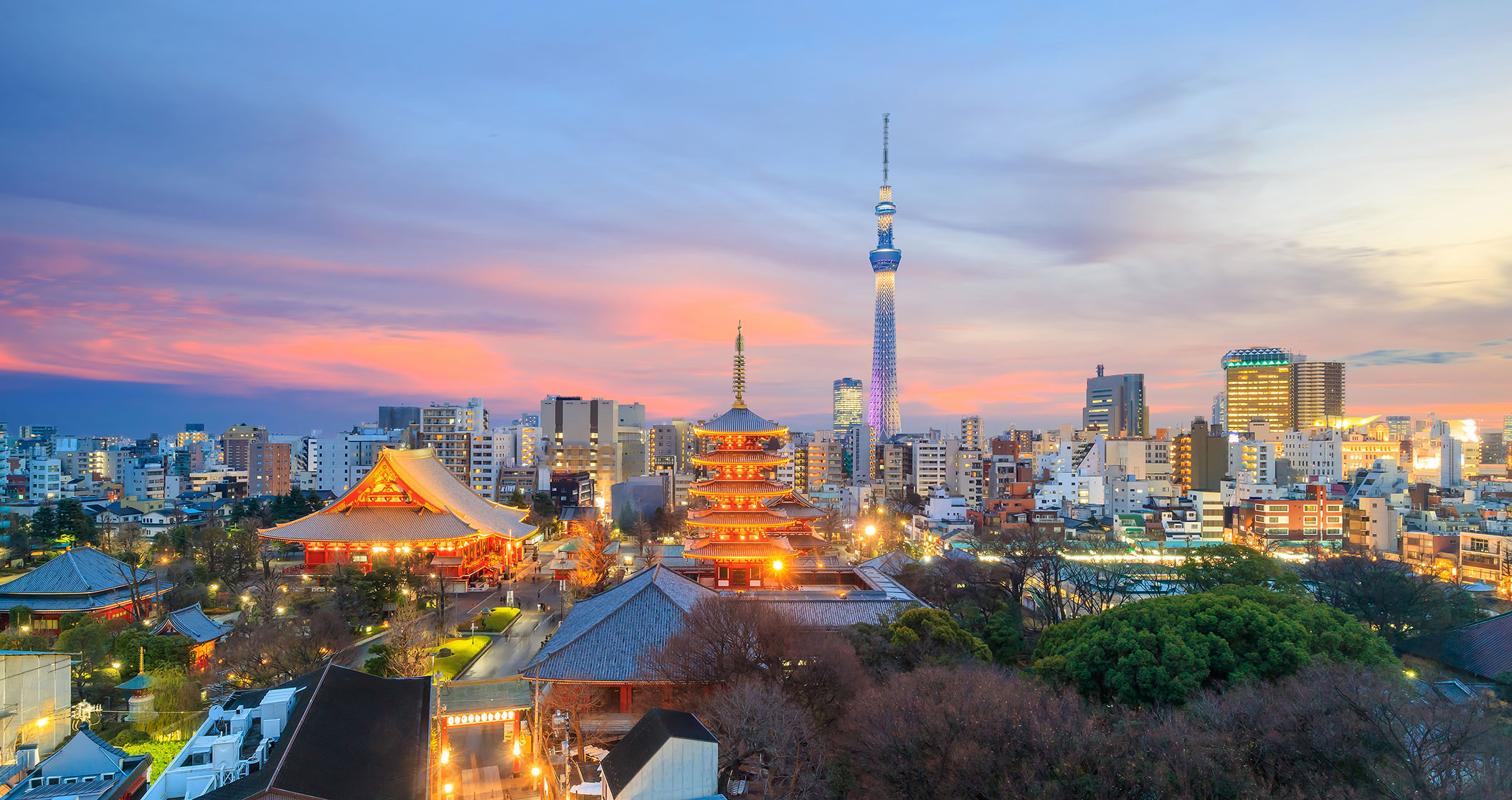 Japanese Language & Culture | Tokyo | CIEE